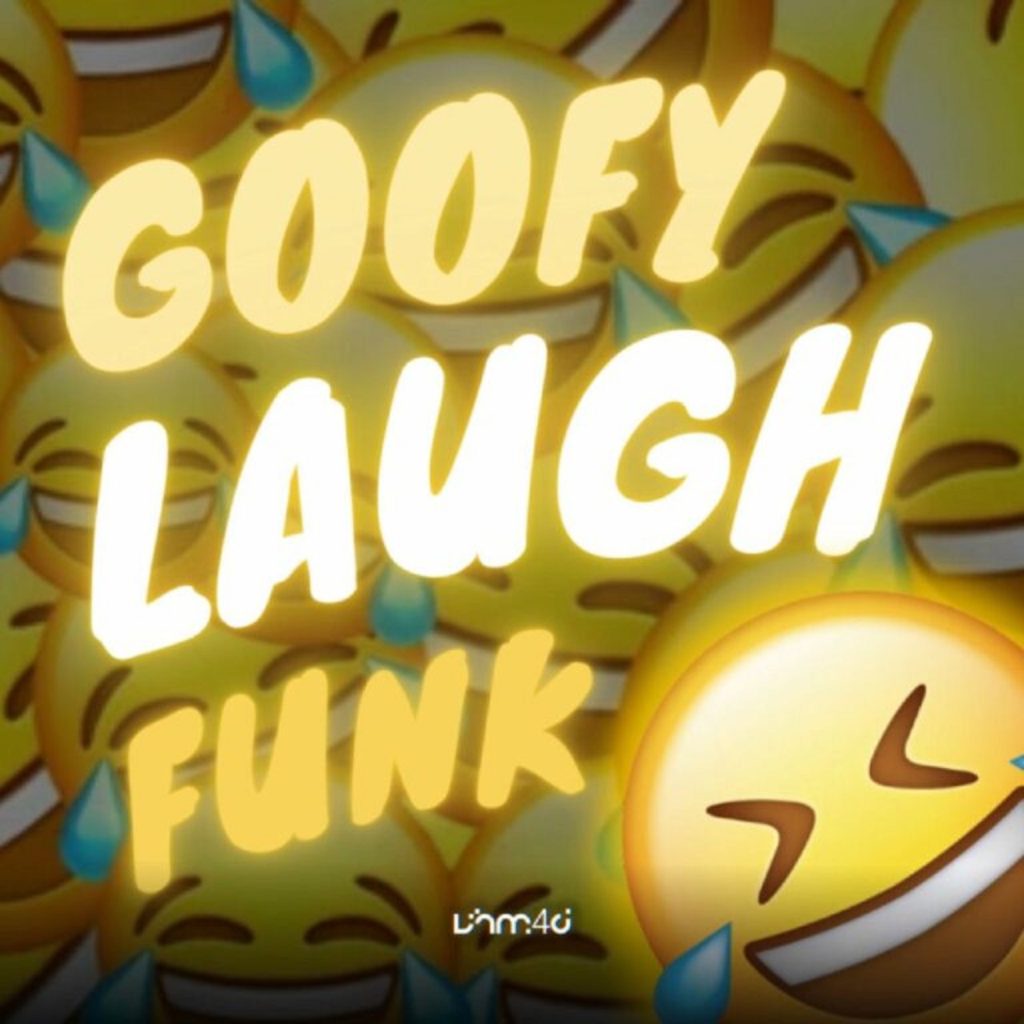 دانلود آهنگ فانک goofy laugh funk از vhm4d با کیفیت 320
