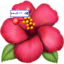 🌺