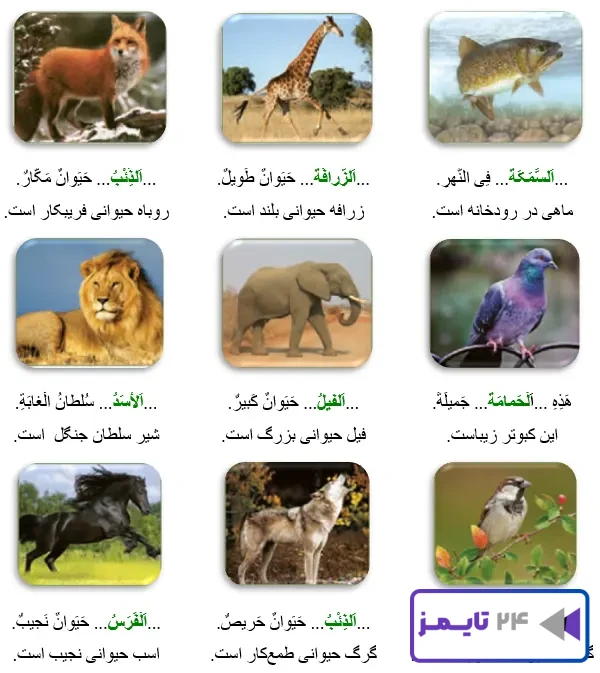 جواب تمرین صفحه 70 عربی نهم