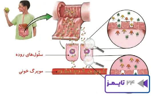 گفت‌وگو صفحه درس دهم علوم 4