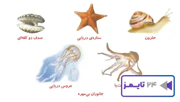 جواب جمع آوری اطلاعات صفحه 102 درس 11 علوم چهارم