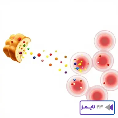 جواب فکر کنید صفحه 80 درس نهم علوم 4