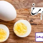 تحقیق در مورد تخم مرغ