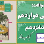 پاسخ سوالات درس شانزدهم فارسی دوازدهم کباب غاز - 24 تایمز