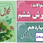 پاسخ سوالات درس چهاردهم نگارش ششم رازِ زندگی - 24 تایمز