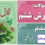 پاسخ سوالات درس هشتم نگارش ششم دریا قُلی - 24 تایمز