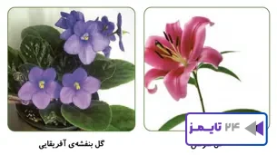 جواب فعالیت صفحه 101علوم سوم