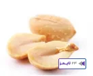 جواب فعالیت صفحه 101علوم سوم