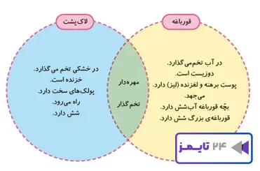 جواب فعالیت صفحه 124 علوم سوم