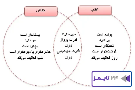 جواب فعالیت صفحه 124 علوم سوم