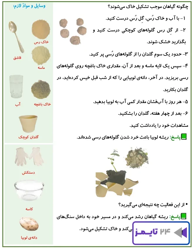 جواب کاوشگری صفحه 81 علوم پنجم