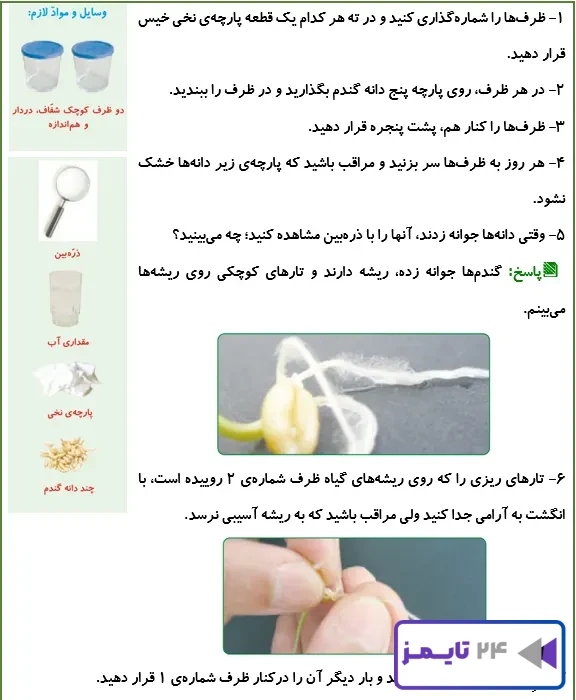 جواب کاوشگری صفحه 100 علوم پنجم