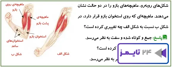 جواب سؤال صفحه 37 علوم پنجم
