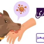 تحقیق در مورد بیماری هاری و علائم آن