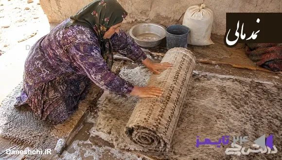 تحقیق در مورد نمد مالی