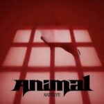 آهنگ Animal از KATSEYE خارجی