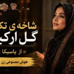 آهنگ شاخه تکیده گل ارکیده از یاسیکا