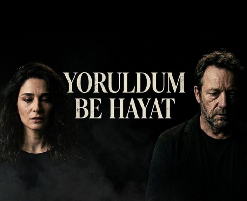 دانلود آهنگ Yoruldum Be Hayat از Anatolian Pulse با کیفیت 320