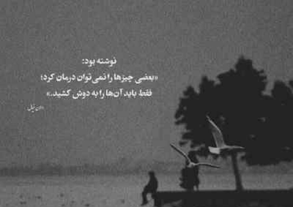 دانلود آهنگ تو رفتی و دلم غمین شد با صدای زن | با کیفیت 320