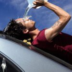 آهنگ Wallflower از Dominic Fike خارجی ترند جدید اینستاگرام
