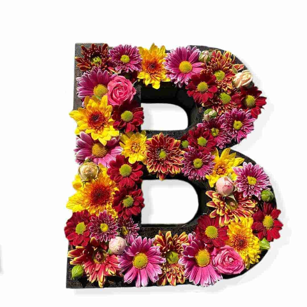 عکس گل b