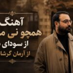 آهنگ همچو نی مینالم از سودای دل از آرمان گرشاسبی