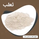 عکس ثعلب