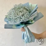عکس گل ژیپسوفیلا آبی