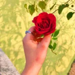 عکس گل در دست دختر فیک