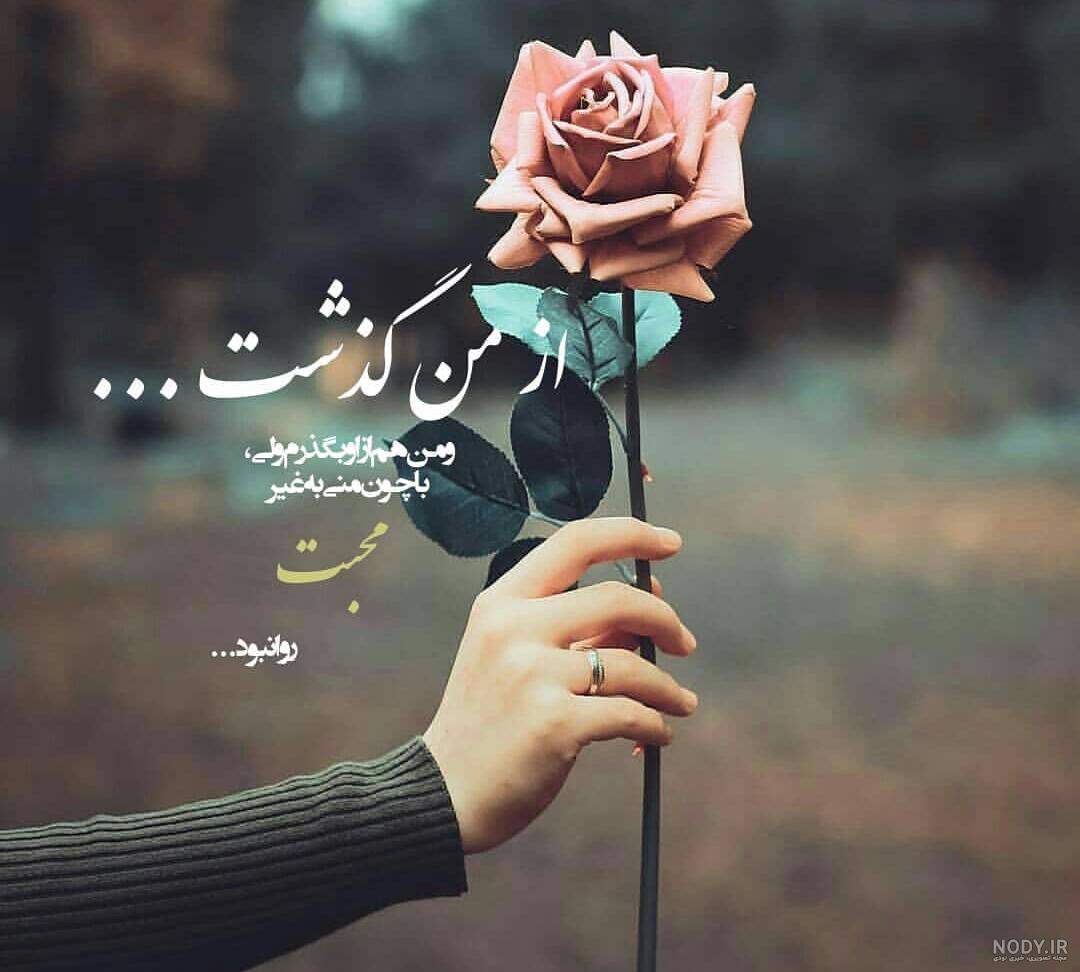 عکس گل دلتنگی