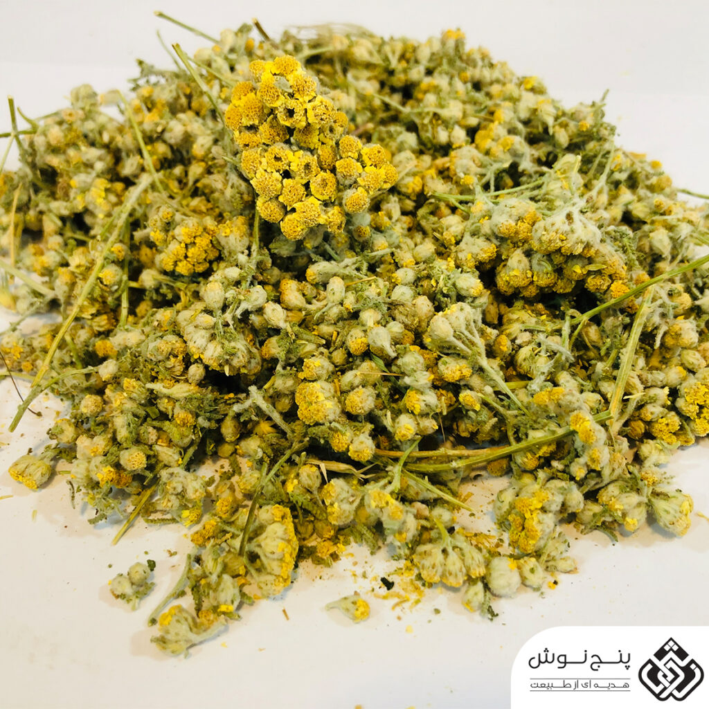 عکس گل بومادران