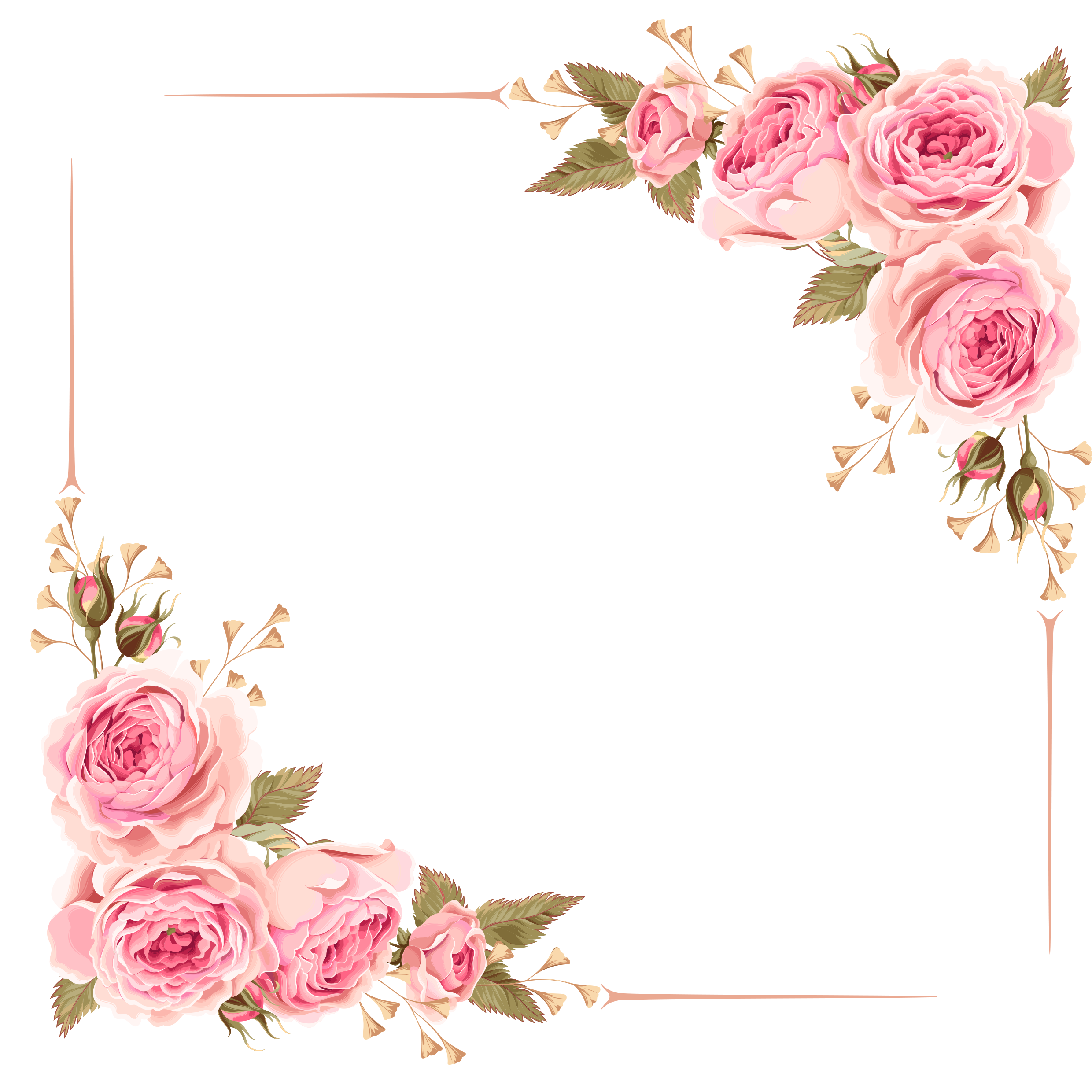 عکس گل حاشیه