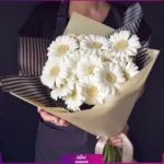 عکس گل ژربرا سفید