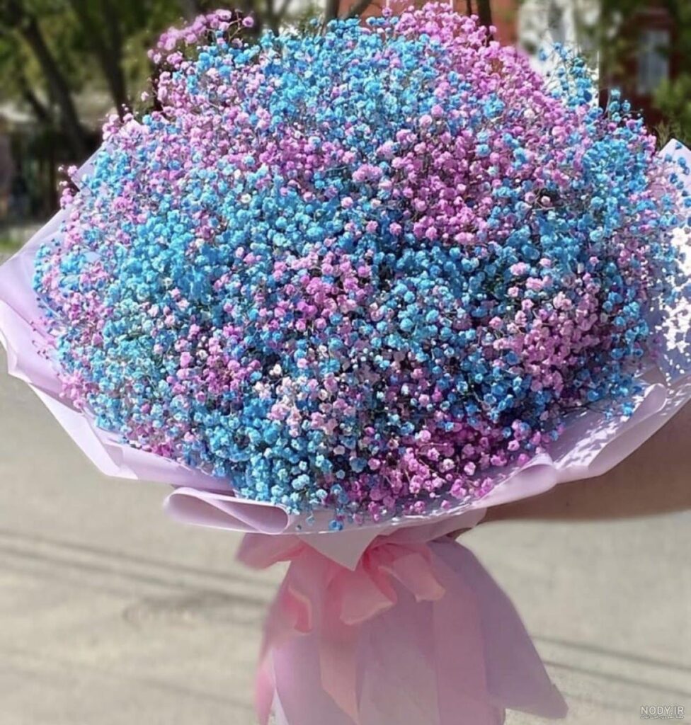 عکس گل ژیپسوفیلا