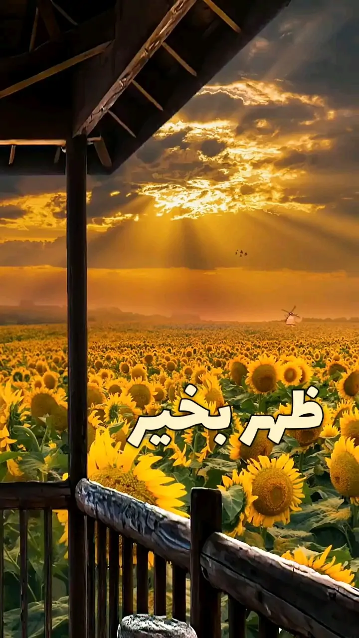 عکس ظهر بخیر
