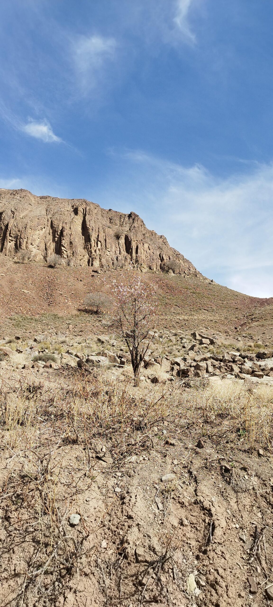 عکس کوه کلنگ