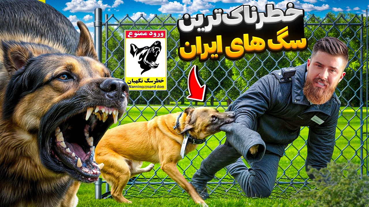 عکس سگ حامد تبریزی