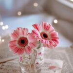 عکس گل برای پروفایل واتساپ