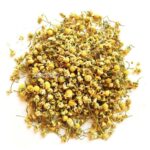 عکس گل بابونه خشک