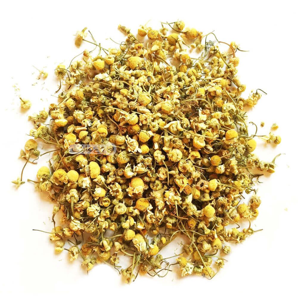 عکس گل بابونه خشک