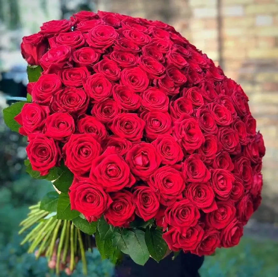 عکس گل خوشگل