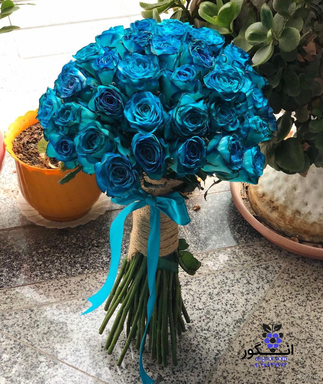 عکس گل رز آبی