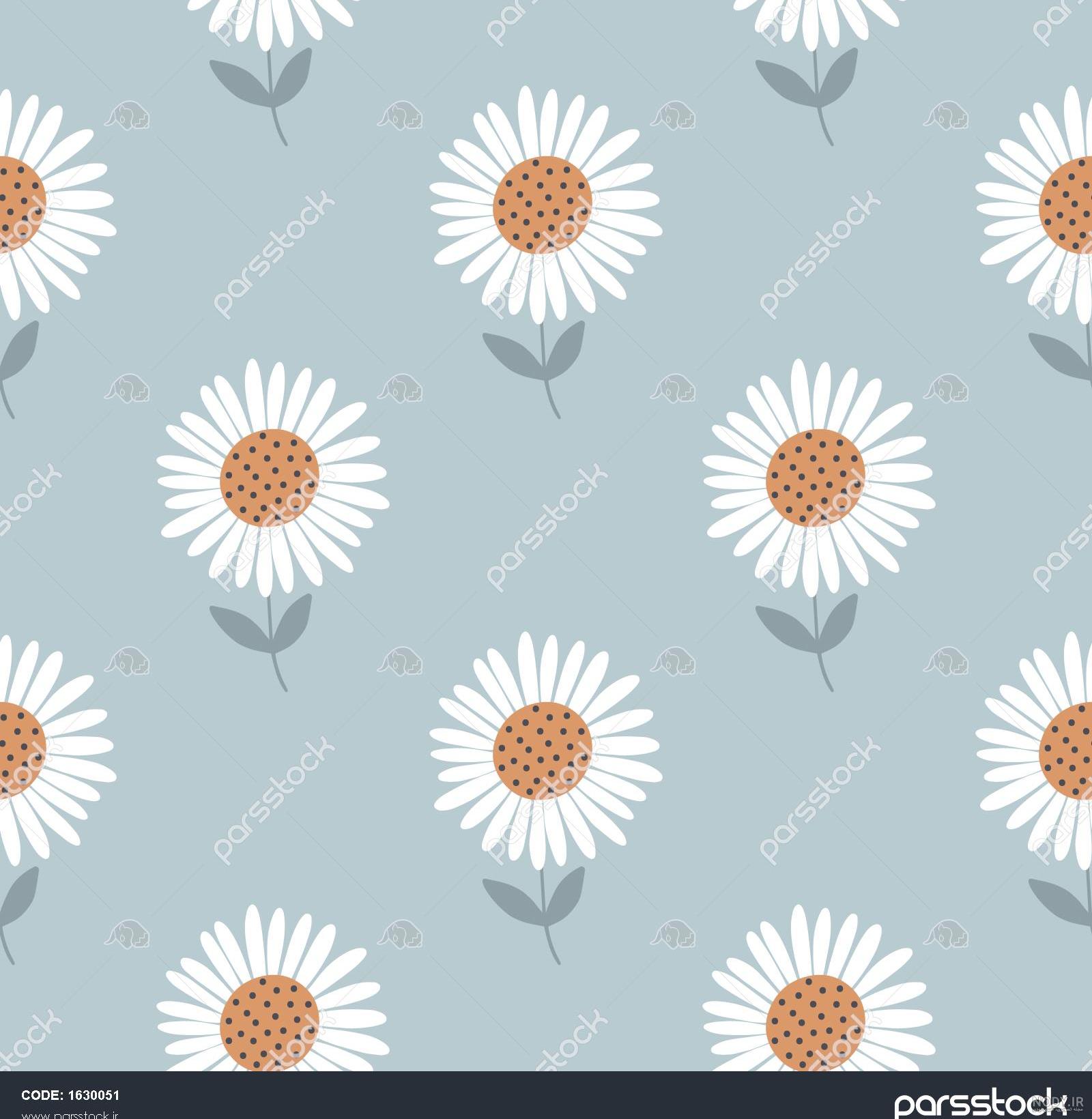 عکس گل بابونه