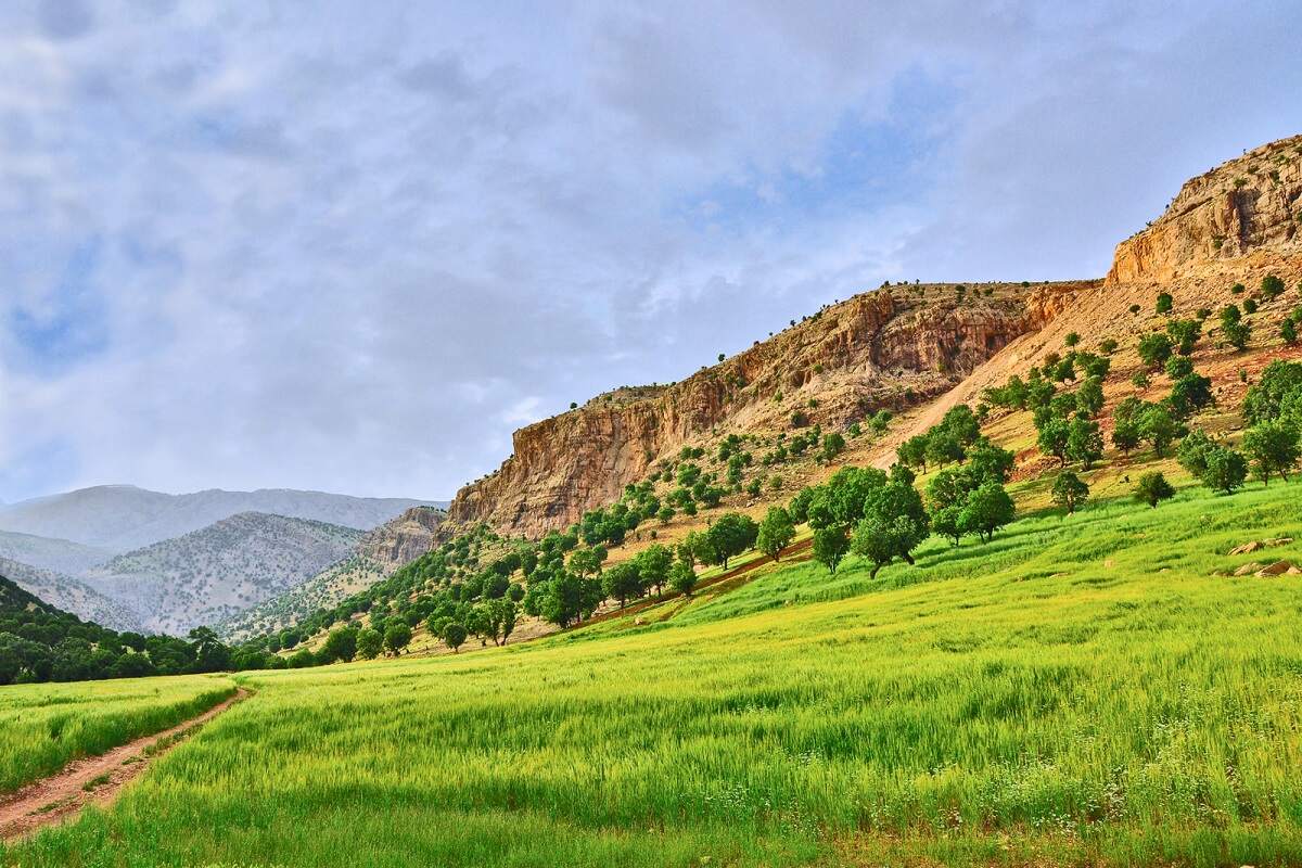 عکس از کوه های زاگرس