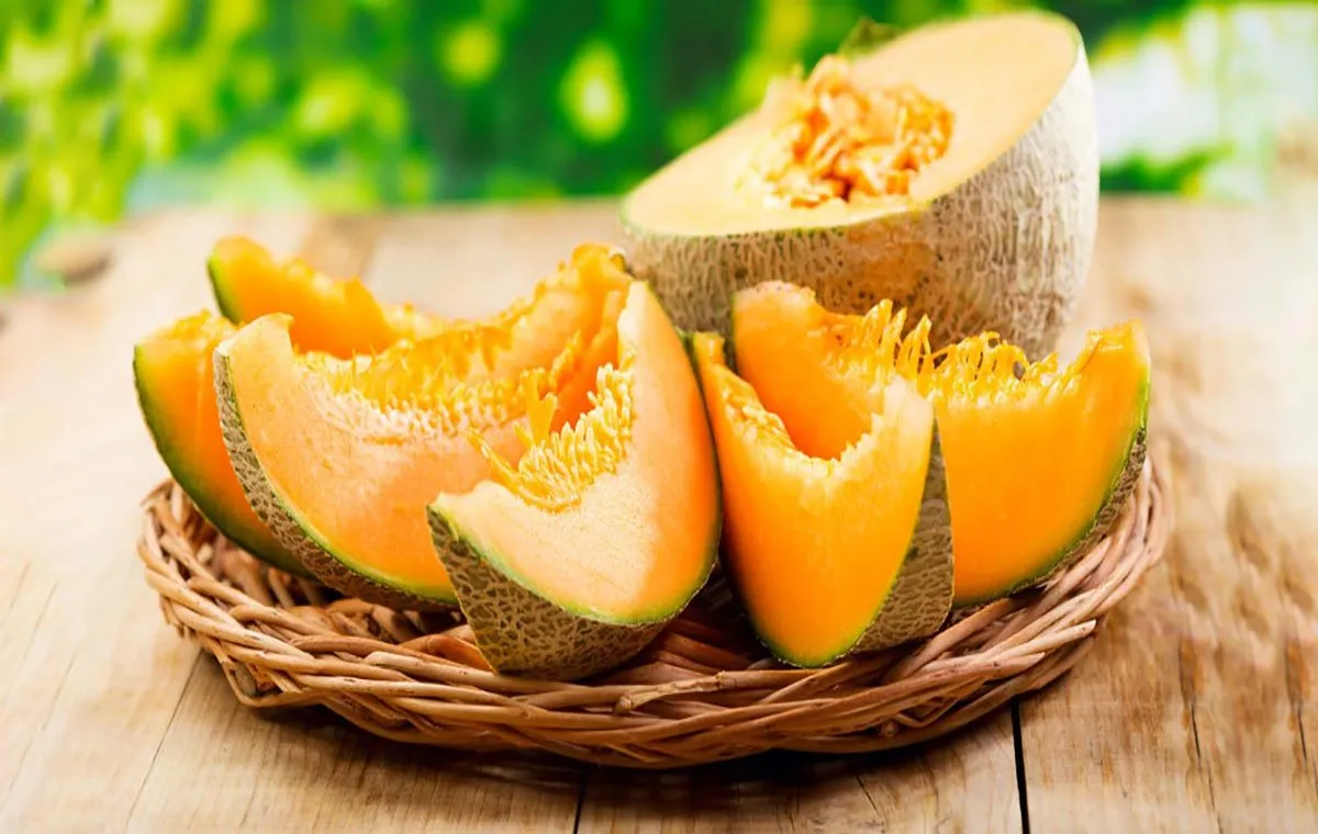 عکس طالبی