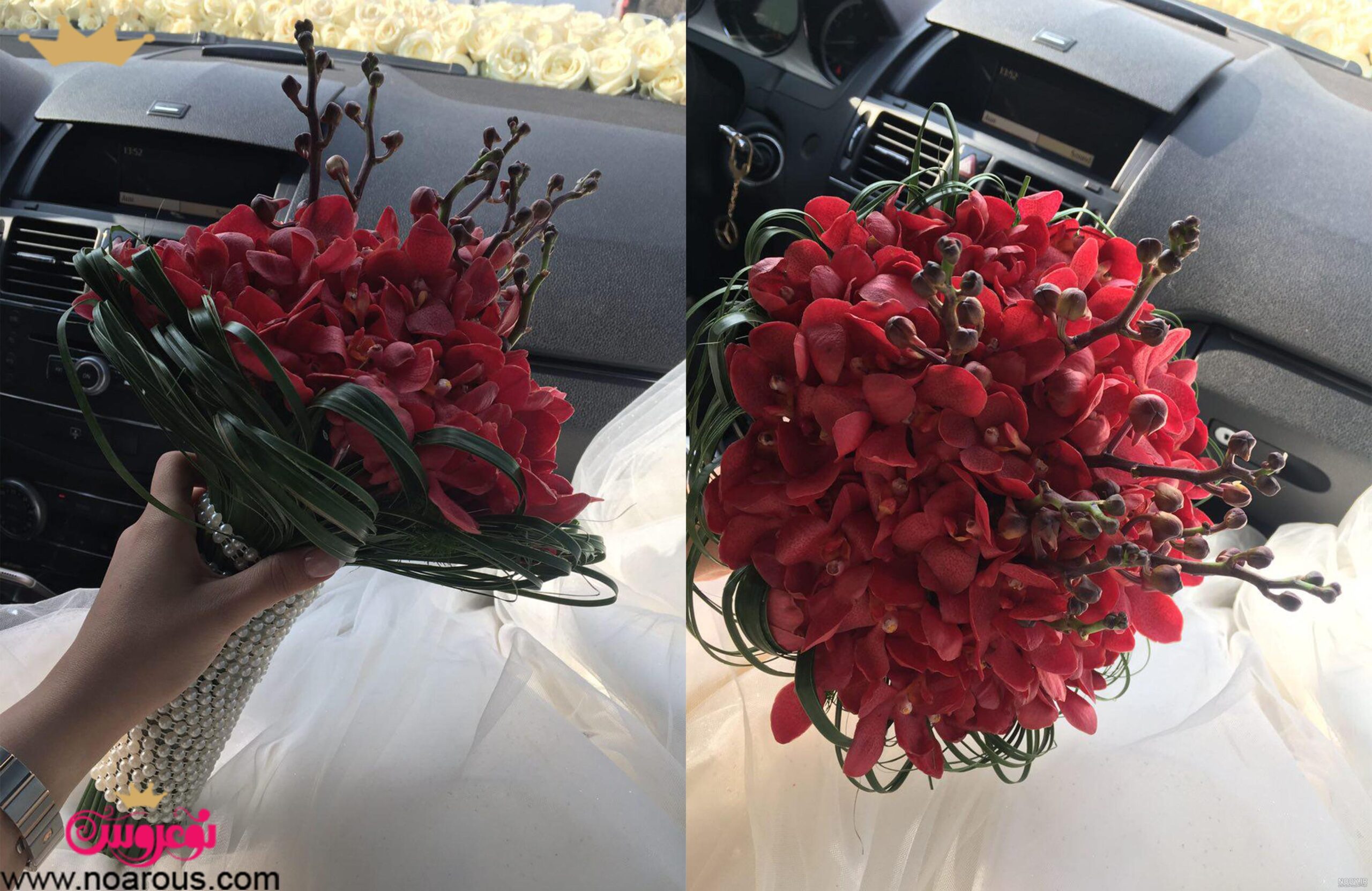 عکس گل حنا