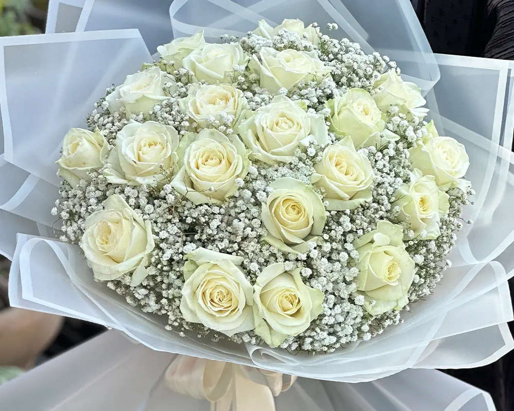 عکس گل رز سفید