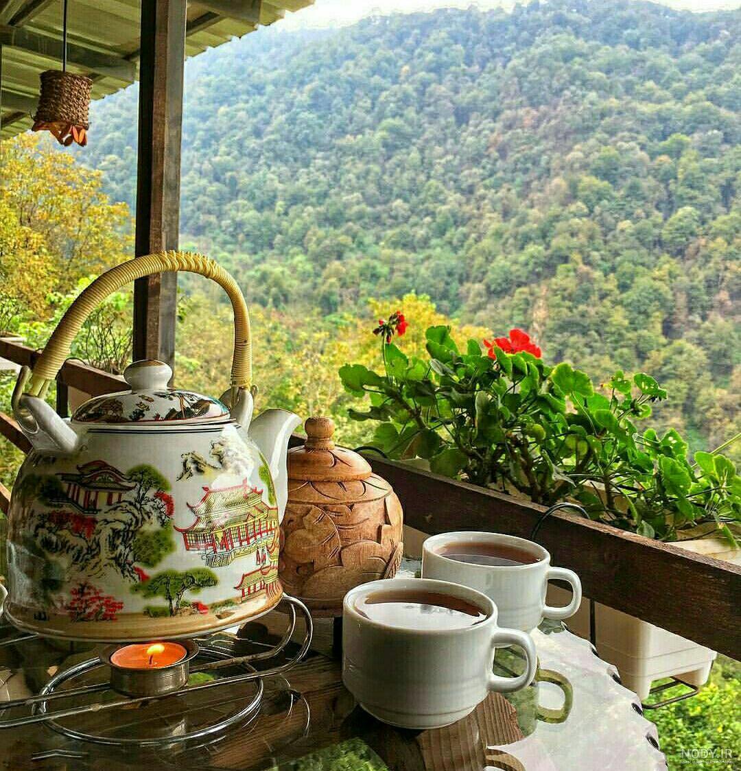 عکس چای