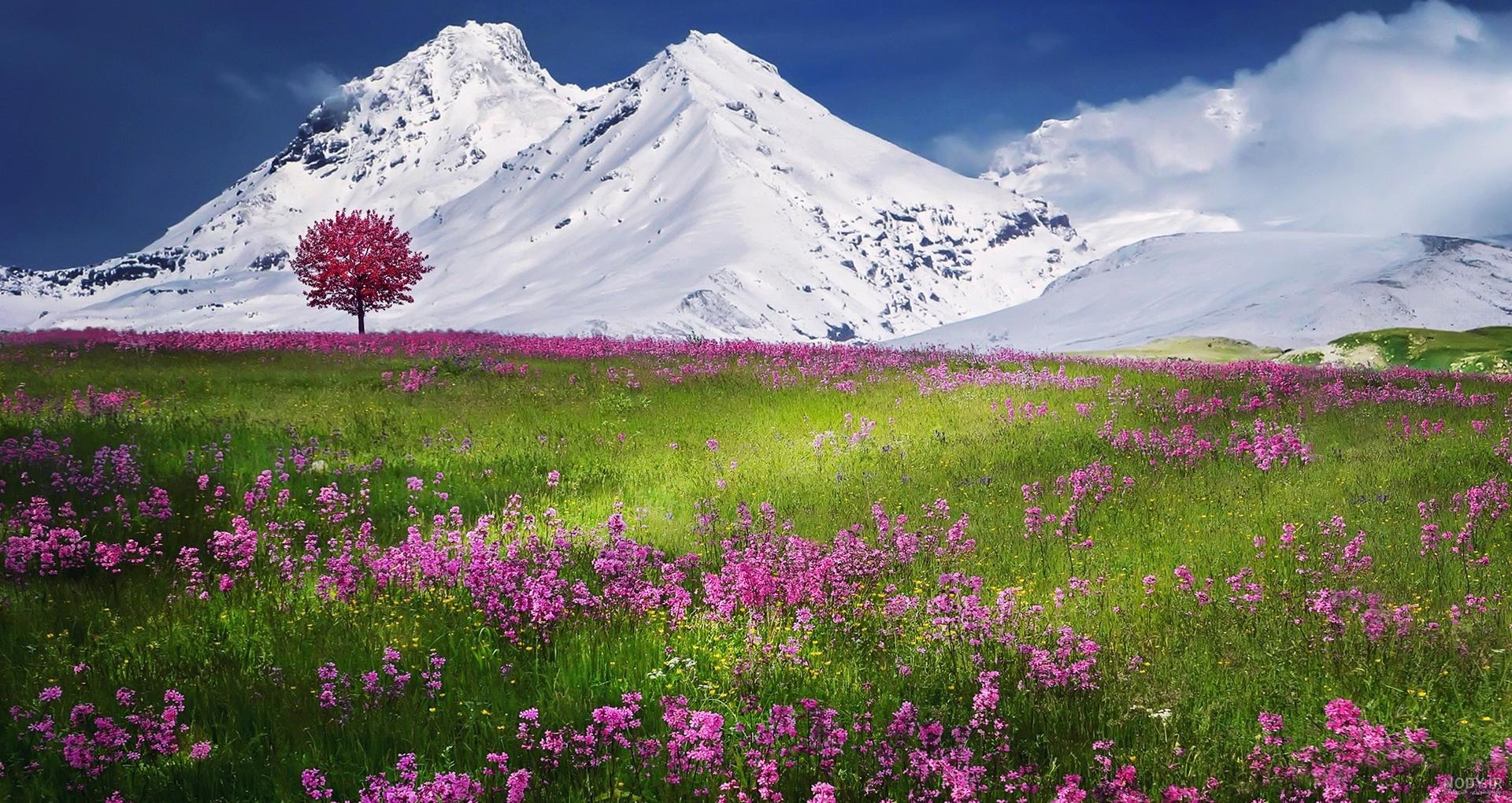 عکس کوه و طبیعت