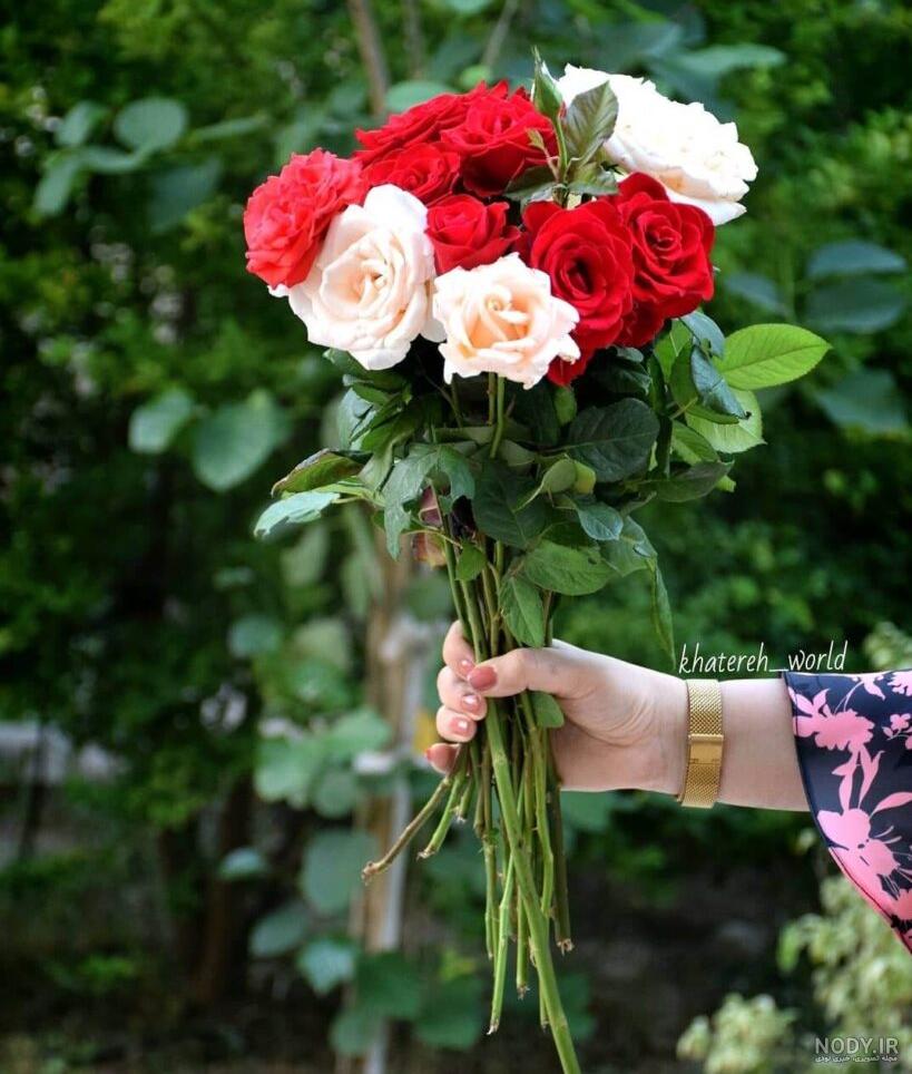 عکس گل زیبا جدید
